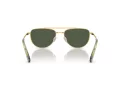Swarovski SK 7007 401782 53 Women sunglasses