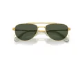 Swarovski SK 7007 401782 53 Women sunglasses