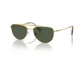 Swarovski SK 7007 401782 53 Women sunglasses