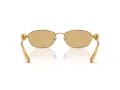 Swarovski SK 7010 4007D8 59 Women sunglasses