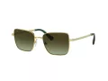 Swarovski SK 7015 4004E8 56 Women sunglasses