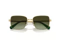 Swarovski SK 7015 4004E8 56 Women sunglasses