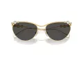 Swarovski SK 7017 400487 58 Women sunglasses