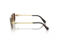 Swarovski SK 7027 400473 56 Women sunglasses
