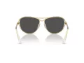 Swarovski SK 7028 400487 59 Women sunglasses