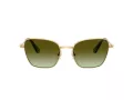 Swarovski SK 7029 4004E8 55 Women sunglasses