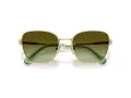 Swarovski SK 7029 4004E8 55 Women sunglasses