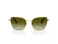 Swarovski SK 7029 4004E8 58 Women sunglasses