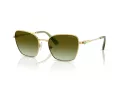 Swarovski SK 7029 4004E8 58 Women sunglasses