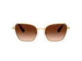 Swarovski SK 7029 400774 55 Women sunglasses