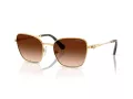 Swarovski SK 7029 400774 58 Women sunglasses