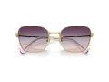 Swarovski SK 7029 4036U7 55 Women sunglasses