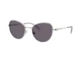 Swarovski SK 7032 40011A 54 Women sunglasses