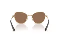 Swarovski SK 7032 400473 54 Women sunglasses