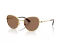 Swarovski SK 7032 400473 54 Women sunglasses