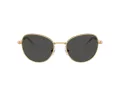 Swarovski SK 7032 400487 54 Women sunglasses