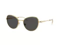 Swarovski SK 7032 400487 54 Women sunglasses