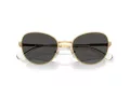 Swarovski SK 7032 400487 54 Women sunglasses