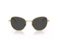 Swarovski SK 7032 400487 54 Women sunglasses