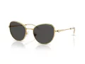 Swarovski SK 7032 400487 54 Women sunglasses