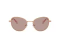 Swarovski SK 7032 40147N 54 Women sunglasses