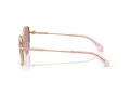 Swarovski SK 7032 40147N 54 Women sunglasses