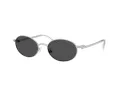 Swarovski SK 7033 400187 53 Women sunglasses