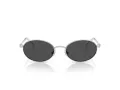 Swarovski SK 7033 400187 53 Women sunglasses