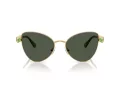Swarovski SK 7034 404G82 56 Women sunglasses