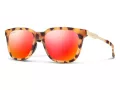 Smith glasses SM Roam RX 086