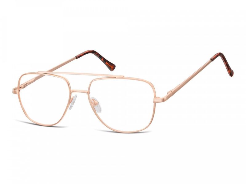Berkeley glasses 787D