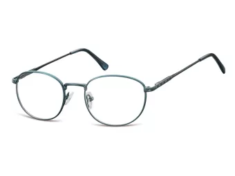Berkeley glasses 794B