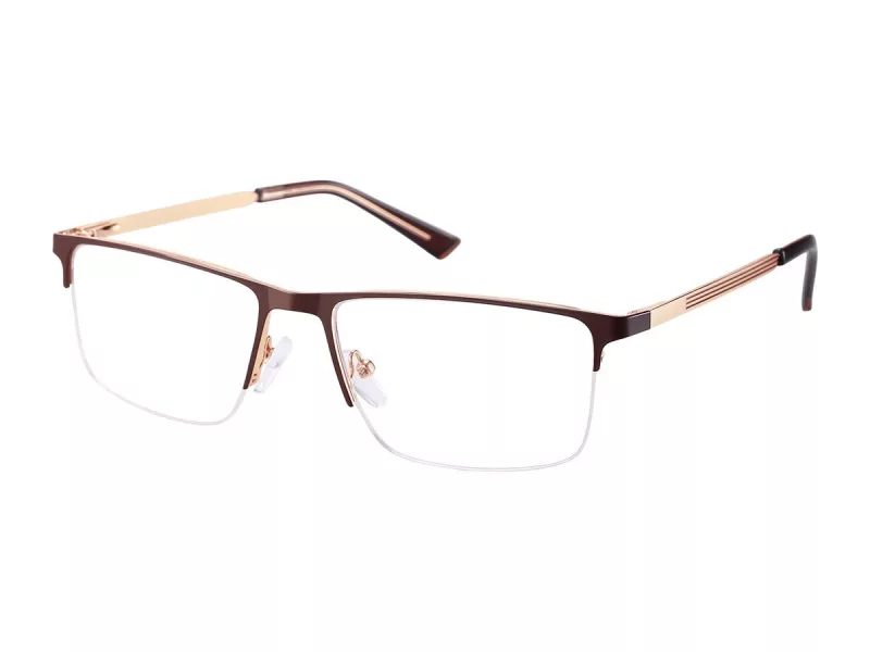 Berkeley glasses 868E