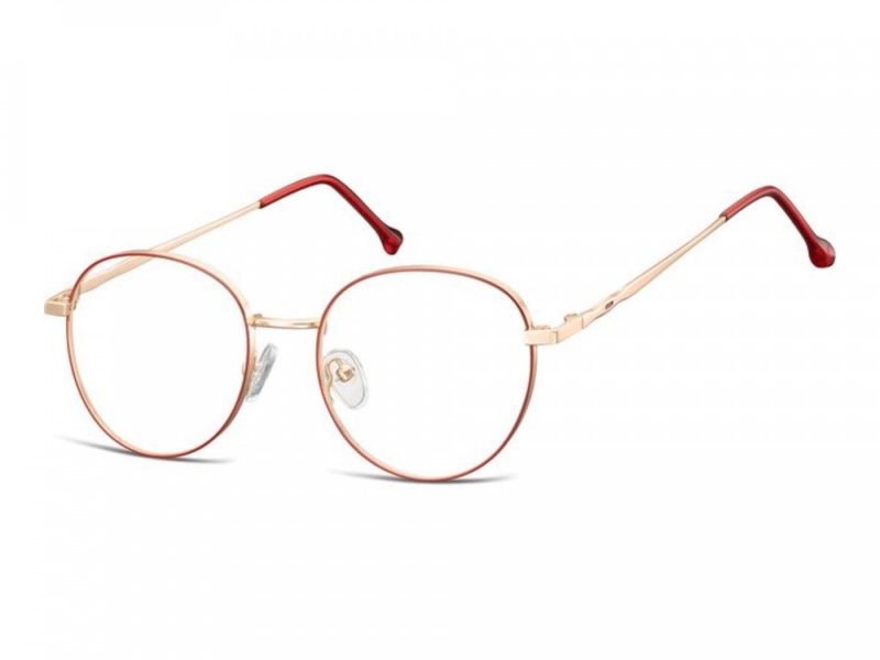 Berkeley glasses 912F