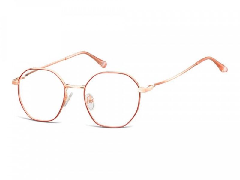 Berkeley glasses L126