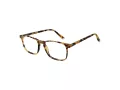 Taylor Morris SW 16 C3 52 Men, Women glasses