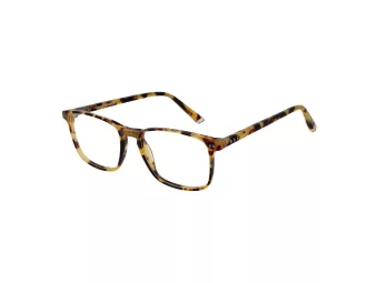 Taylor Morris SW 16 C3 52 Men, Women glasses
