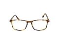 Taylor Morris SW 16 C3 52 Men, Women glasses