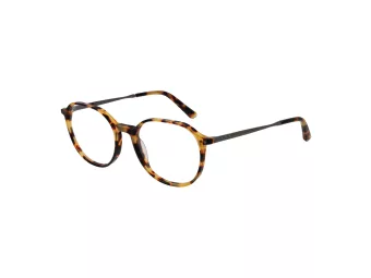Taylor Morris SW 2 C3 51 Men, Women glasses