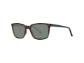 Ted Baker TB 1529 122 53 Men sunglasses