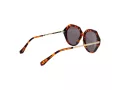 Ted Baker TB 1731 188 54 Women sunglasses
