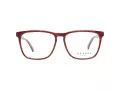 Ted Baker TB 8208 259 54 Men glasses