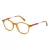 Ted Baker TB 8228 330 51 Men glasses