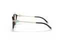 Tiffany TF 2218D 8015 50 Women glasses
