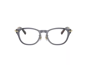Tiffany TF 2237D 8405 48 Women glasses