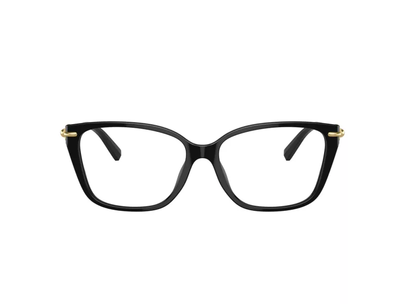 Tiffany TF 2248K 8402 55 Women glasses