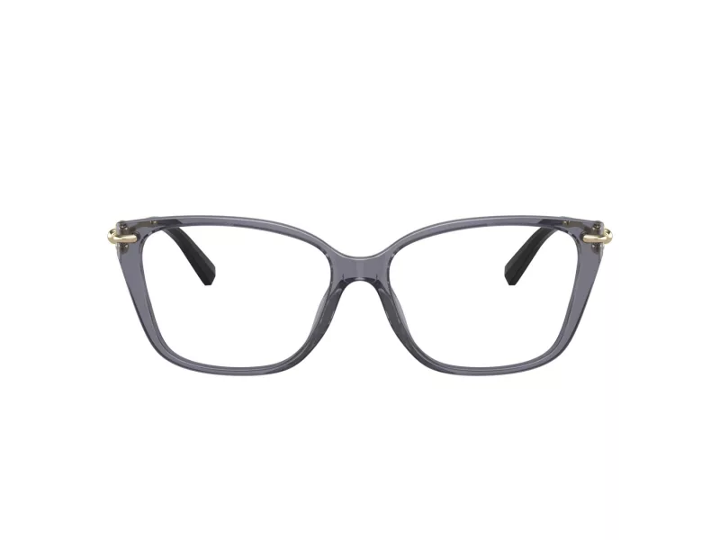 Tiffany TF 2248K 8405 53 Women glasses