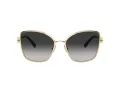 Tiffany TF 3102B 60213C 58 Women sunglasses