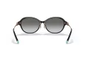 Tiffany TF 4188D 80013C 55 Women sunglasses