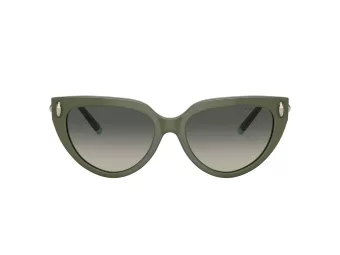 Tiffany TF 4195 835811 54 Women sunglasses